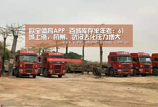 官方应用
