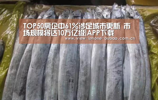 APP下载