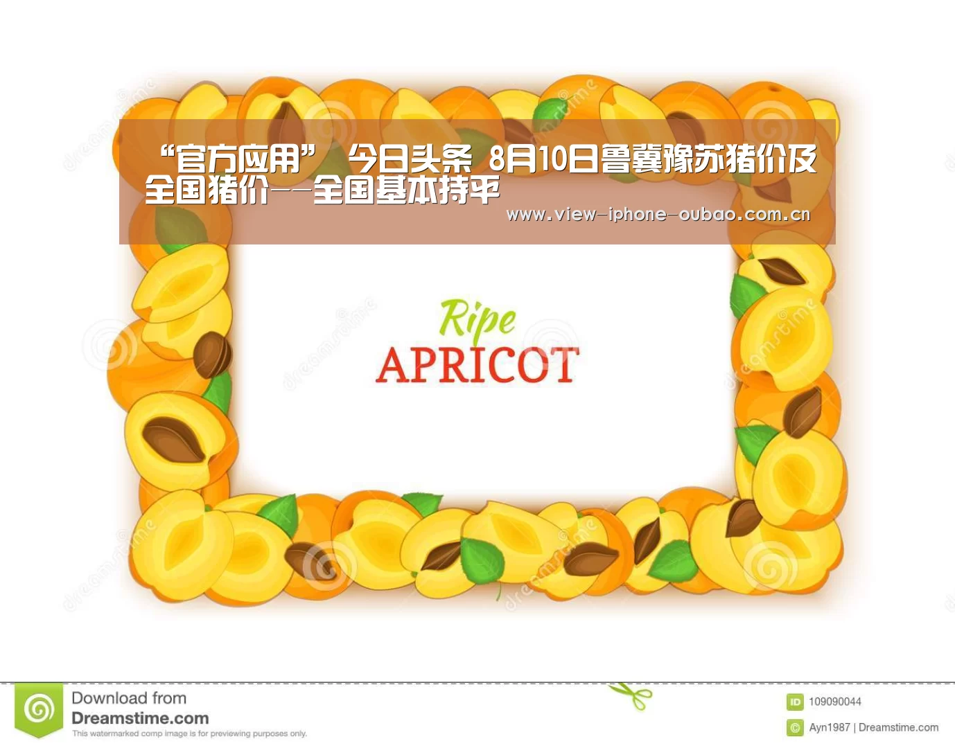 官方应用